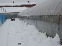 �r�j�[���n�E�X�̏���