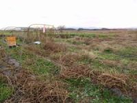 ���̕Еt��